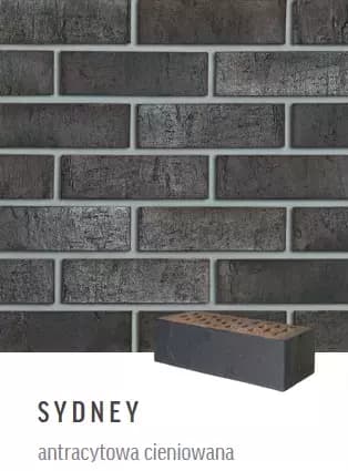 Cegła klinkierowa Roben Sydney 20 (antracytowa cieniowana)