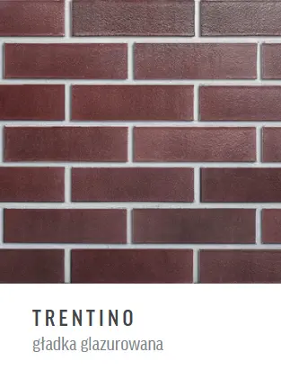 Cegła klinkierowa Roben Trentino 12 (glazurowana gładka)