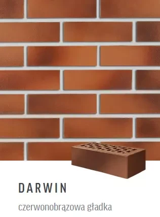 Cegła klinkierowa Roben Darwin 38 (czerwonobrązowa gładka)