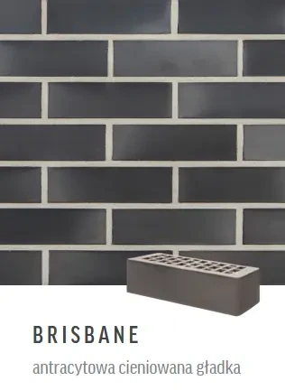 Cegła klinkierowa Roben Brisbane 22 (antracytowa cieniowana gładka)