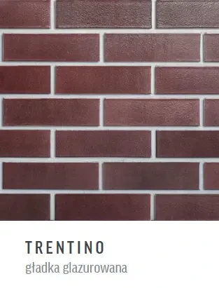Cegła klinkierowa Roben Trentino 12 (glazurowana gładka)