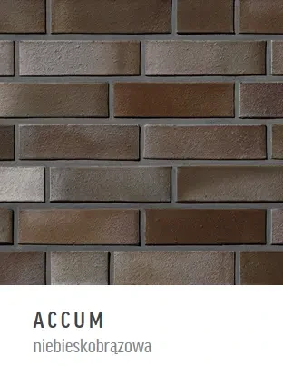 Cegła klinkierowa Roben Accum (niebieskobrązowa)