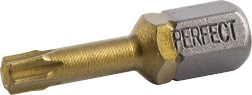 STALCO Końcówka TORX, 25x25 (1/4")