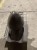 IMG_8371.jpeg